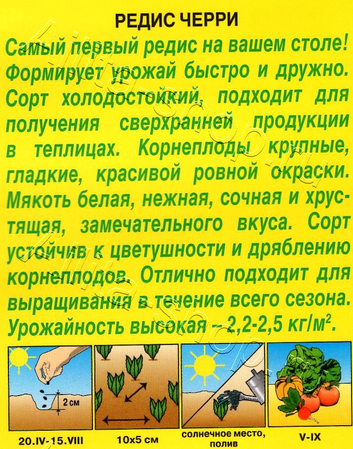 Редис Черри 2г