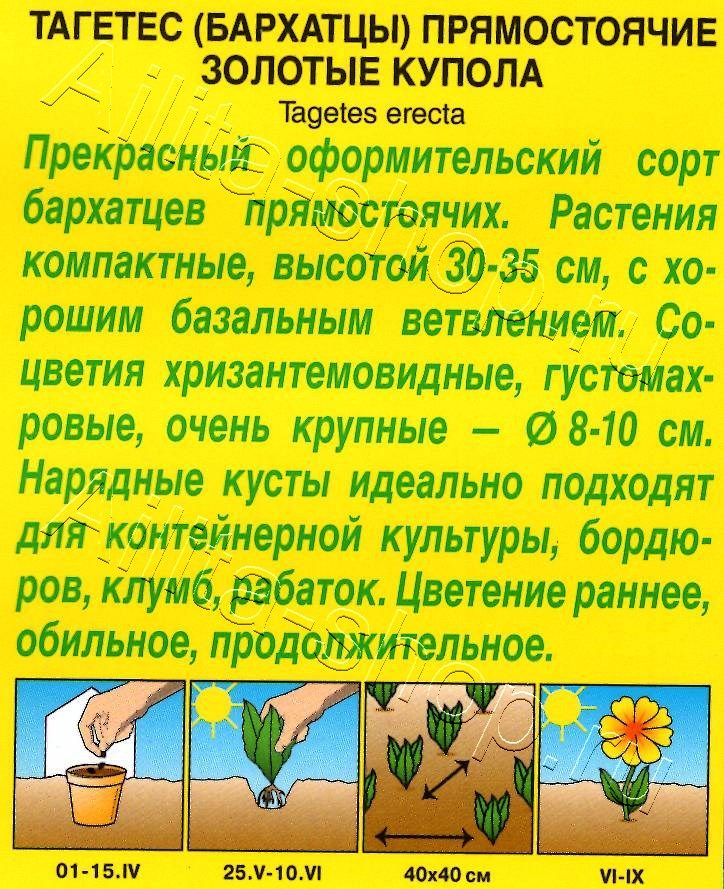 Бархатцы Золотые купола прямостоячие 0,2г