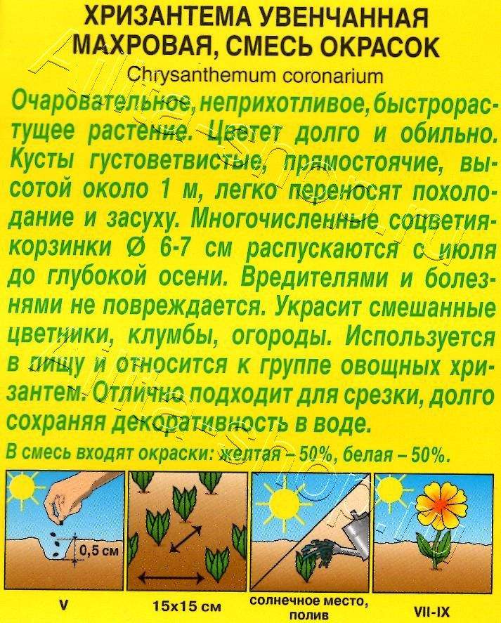 Хризантема увенчанная Махровая, смесь окрасок 0,2г