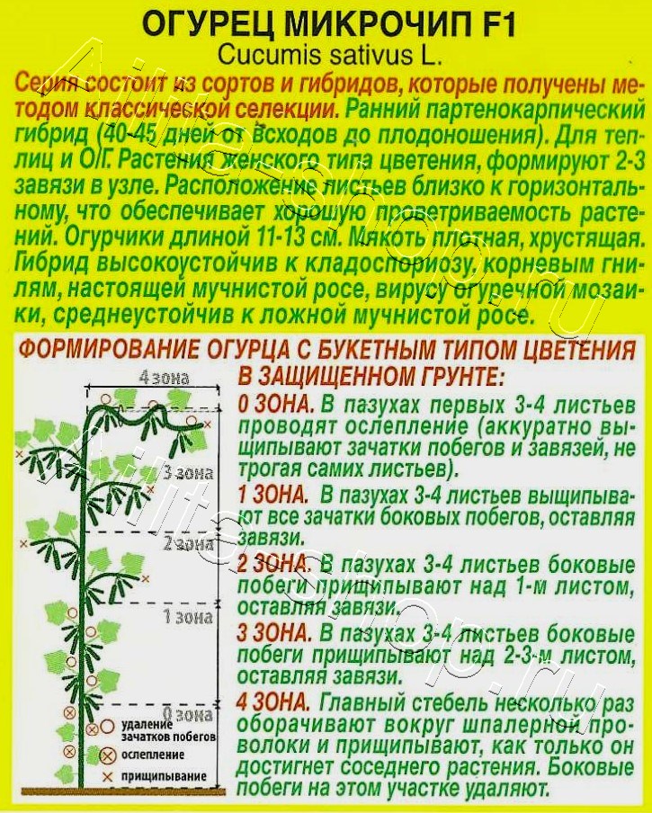 Огурец Микрочип F1 10шт