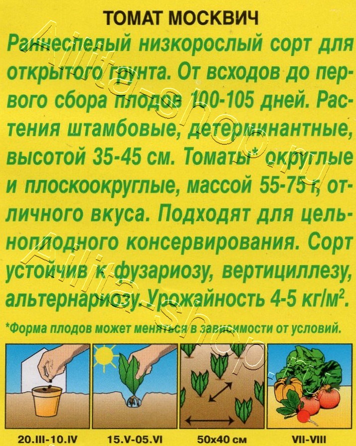 Томат Москвич 20шт