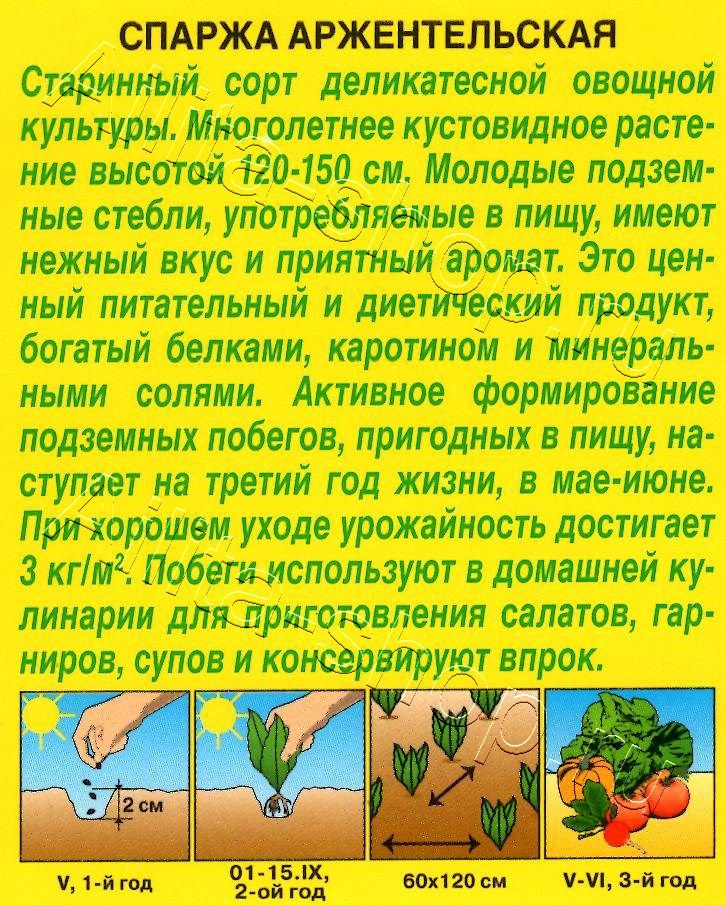 Спаржа Аржентельская 0,5г