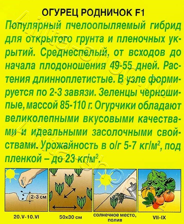 Огурец Родничок F1 10шт