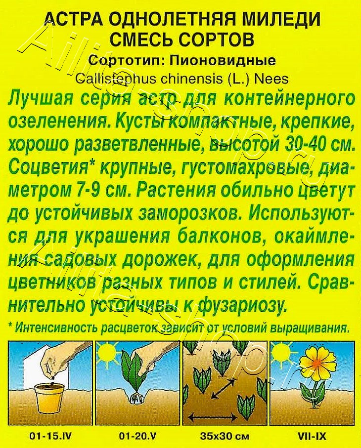 Астра Миледи, смесь окрасок 0,2г