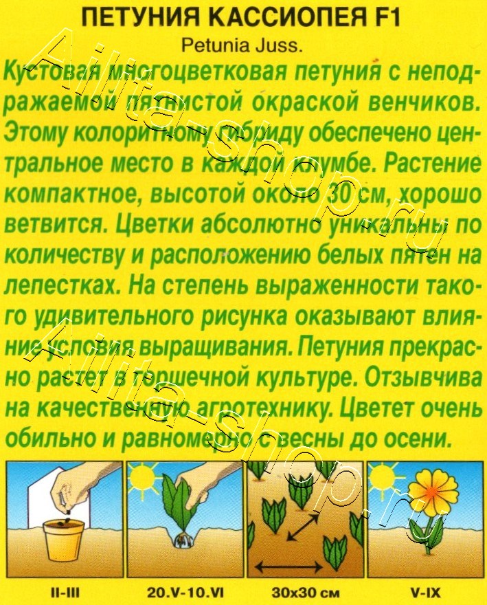 Петуния Кассиопея F1 7шт