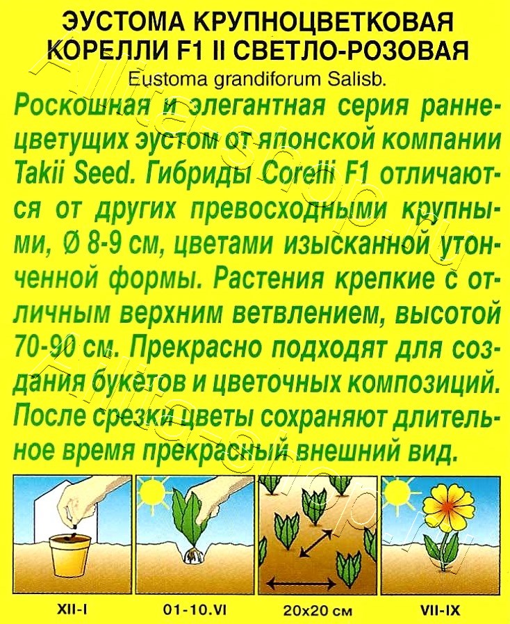 Эустома Корелли F1 светло-розовая 5шт