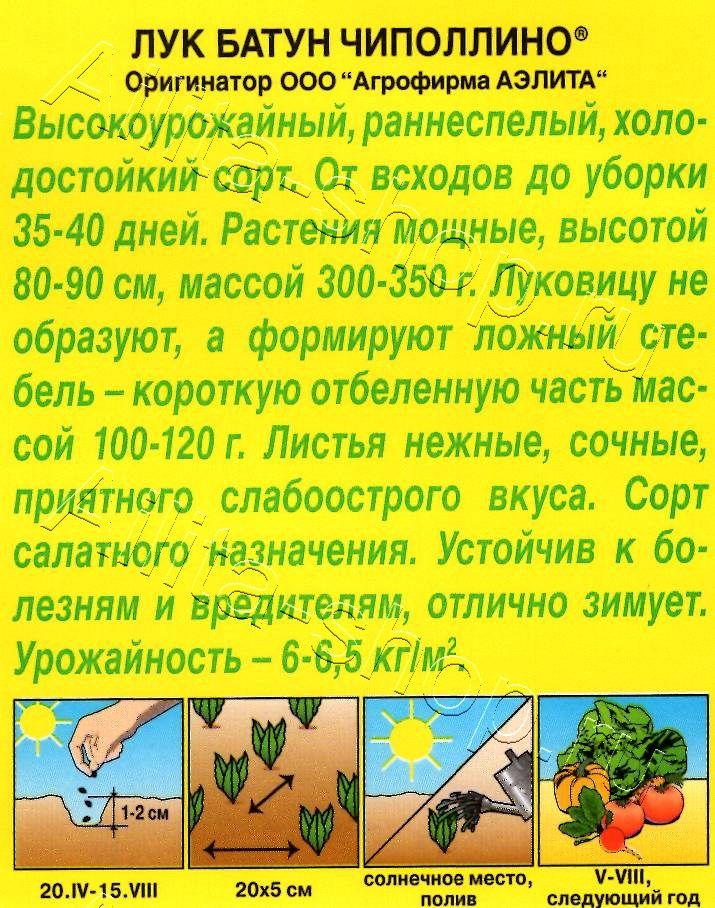 Лук батун Чиполлино 0,5г