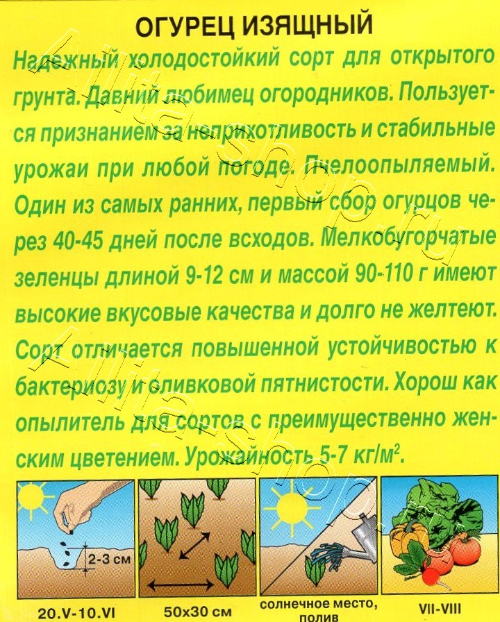 Огурец Изящный 20шт