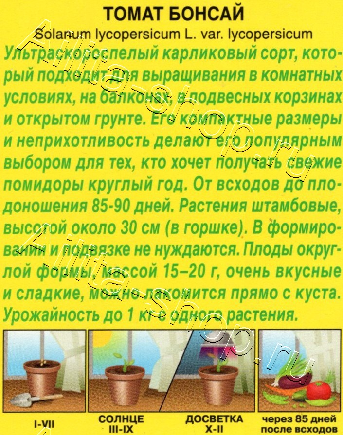 Томат Бонсай 10шт
