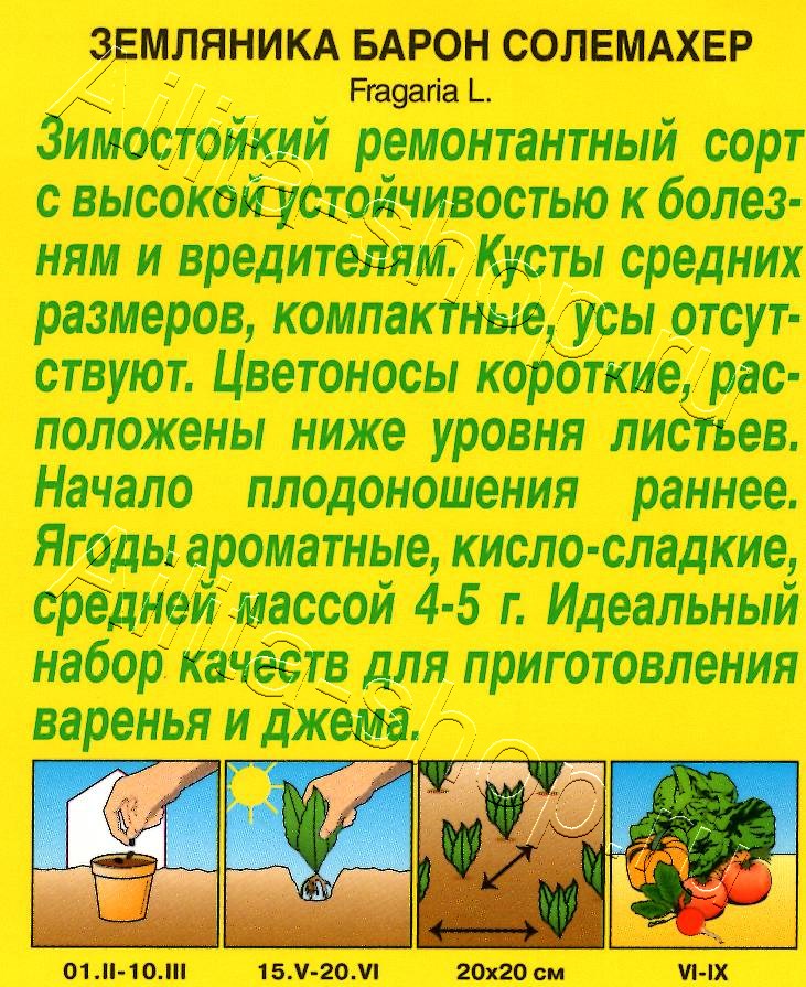 Земляника ремонтантная Барон Солемахер 0,03г