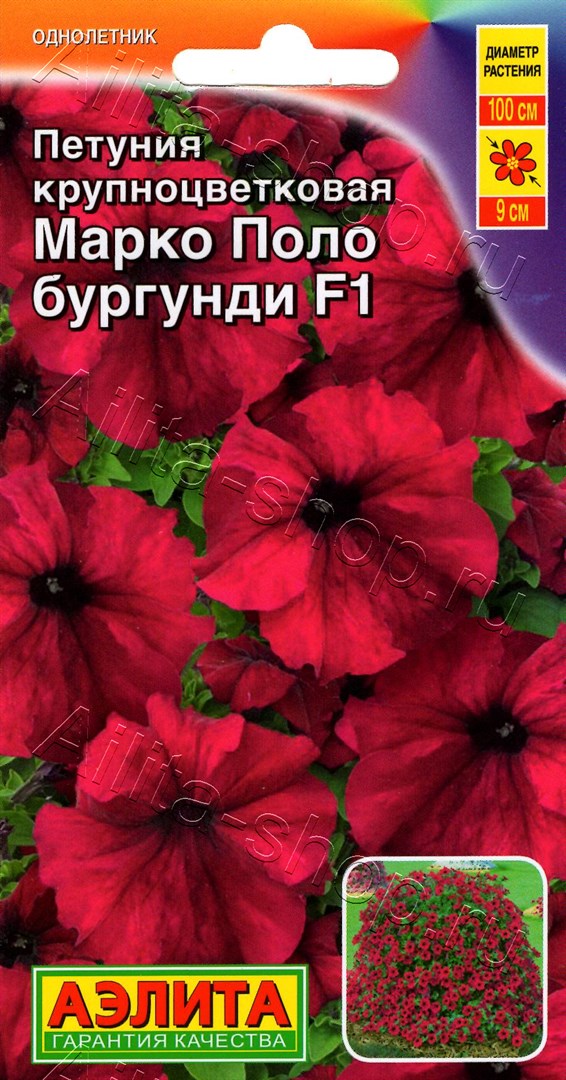 Петуния Марко Поло F1 бургунди 7шт