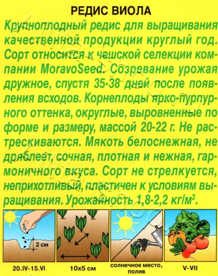 Редис Виола 1г
