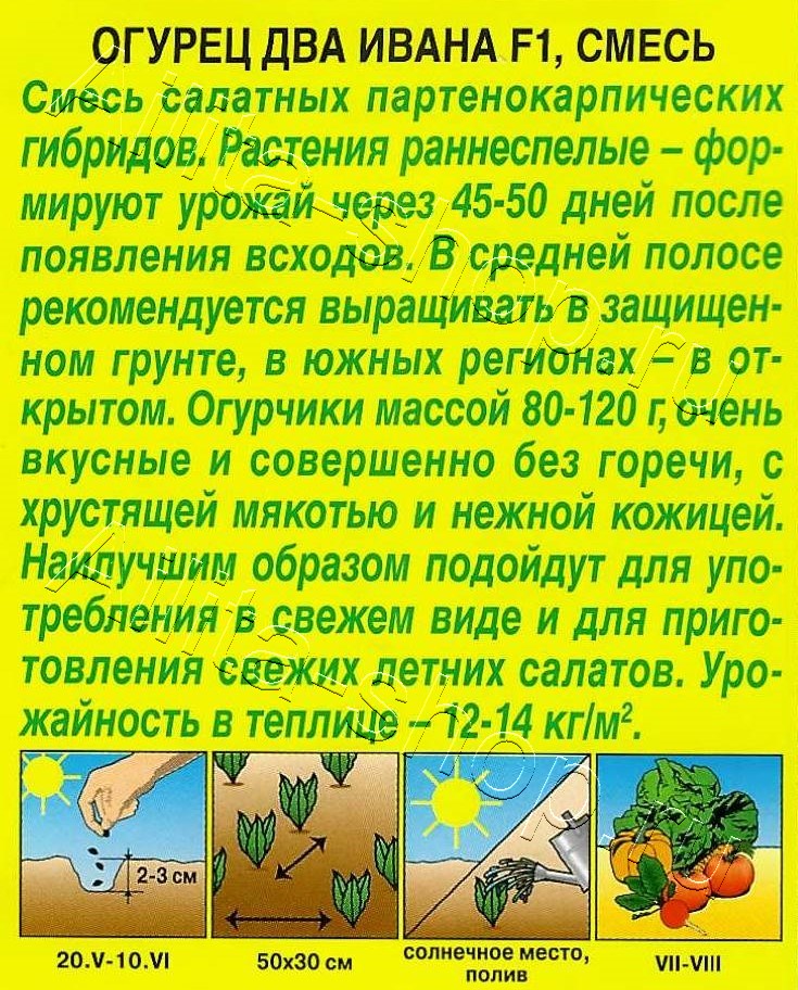 Огурец Два Ивана F1, смесь 10шт