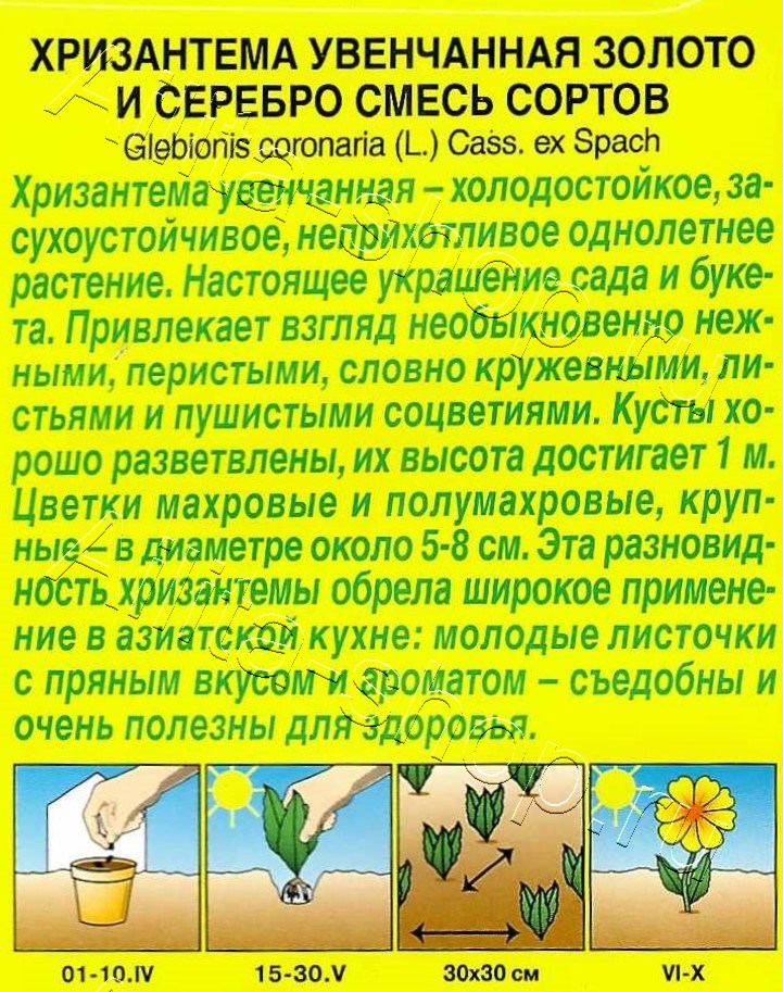 Хризантема Золото и серебро махровая, смесь сортов 0,2г