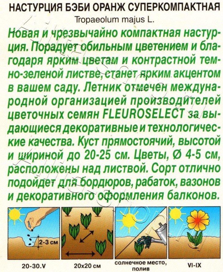 Настурция Бэби оранж суперкомпактная 4шт