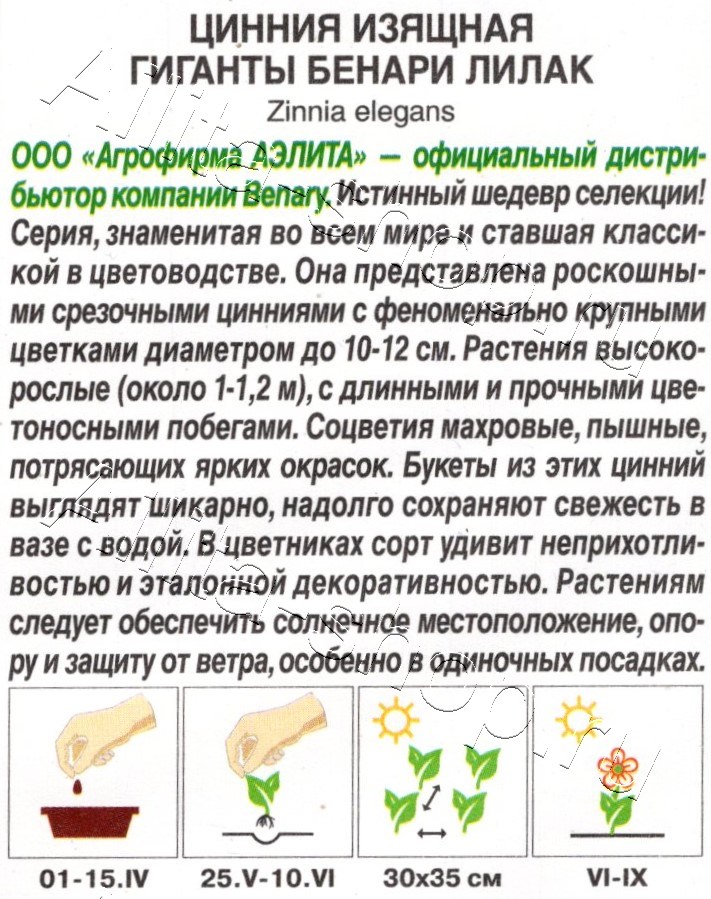 Цинния Гиганты Бенари лилак 7шт