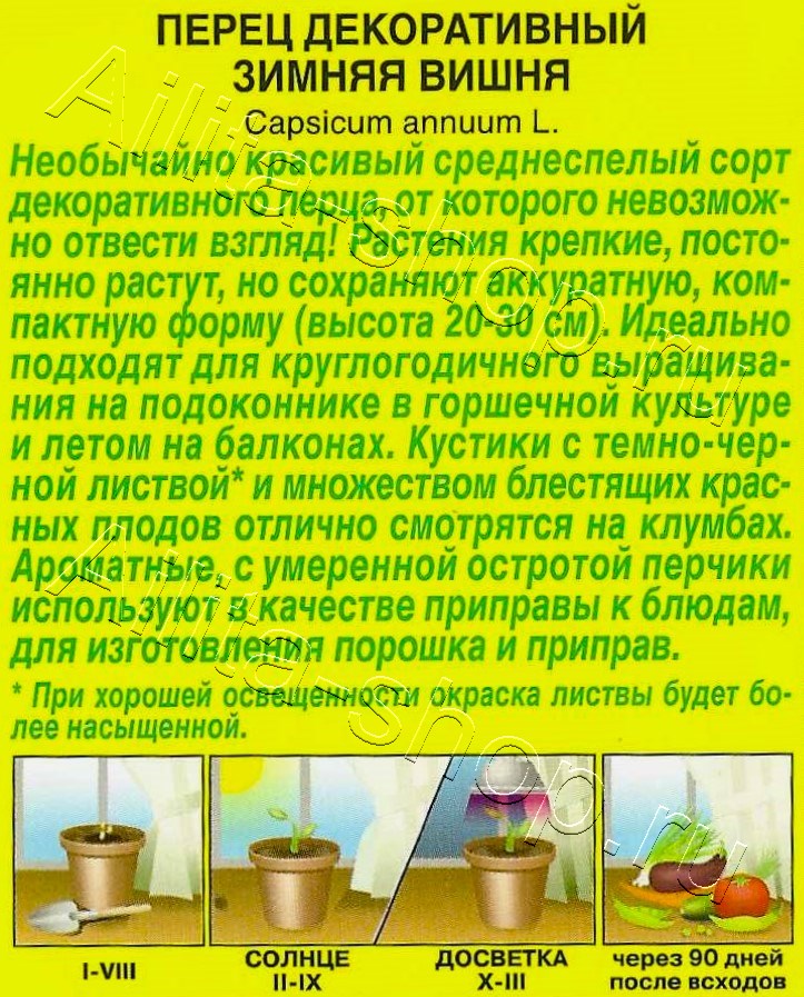 Перец декоративный Зимняя вишня 10шт