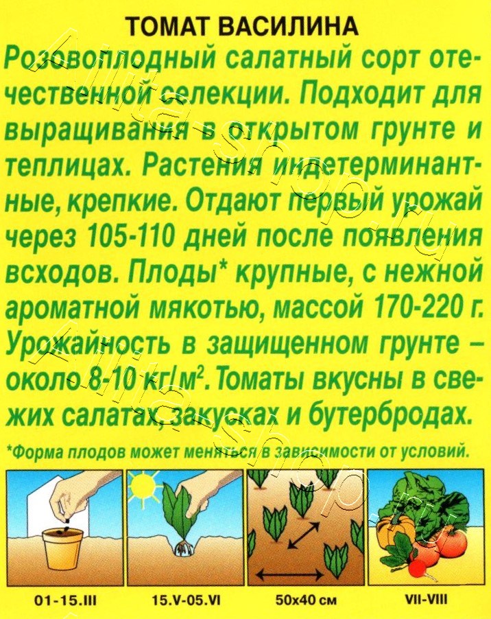 Томат Василина 20шт