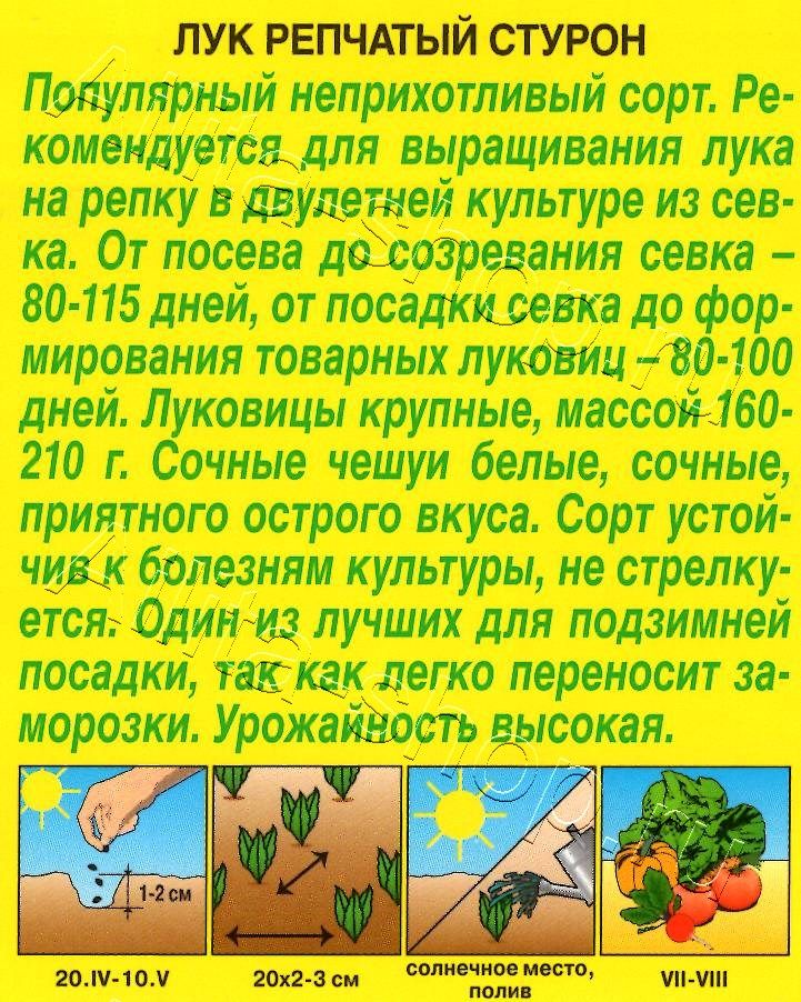 Лук репчатый Стурон 0,5г