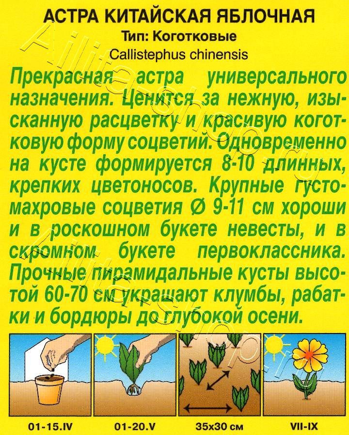 Астра Яблочная 0,2г