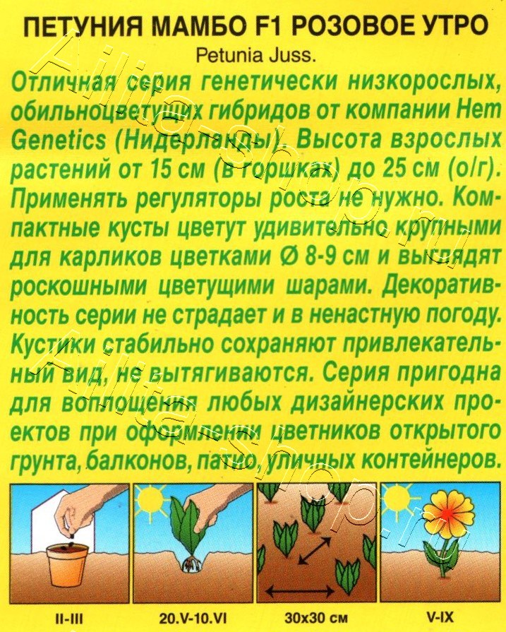 Петуния Мамбо F1 розовое утро многоцветковая 7шт