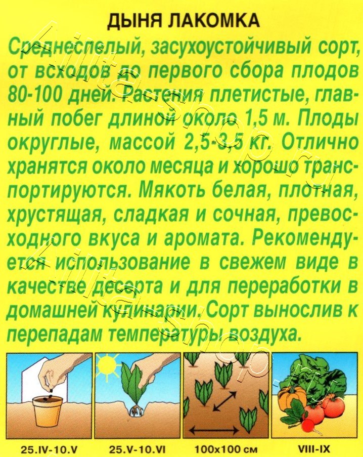 Дыня Лакомка 1г