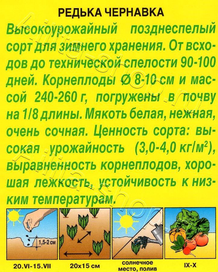 Редька Чернавка 1г