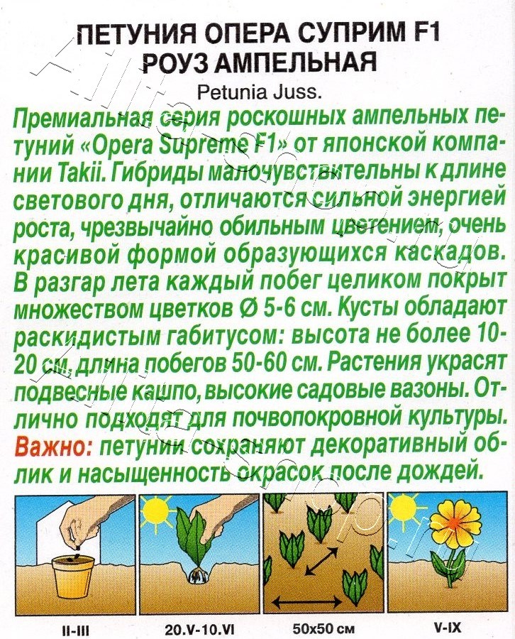 Петуния Опера суприм F1 роуз ампельная 4шт