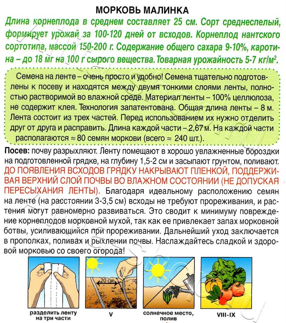 Морковь Малинка на ленте  8м