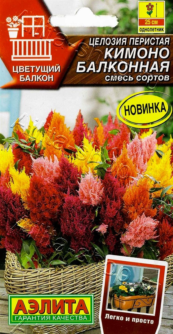 Целозия перистая Кимоно балконная, смесь сортов 10шт