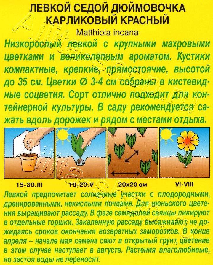 Левкой карликовый Дюймовочка красный 0,1г