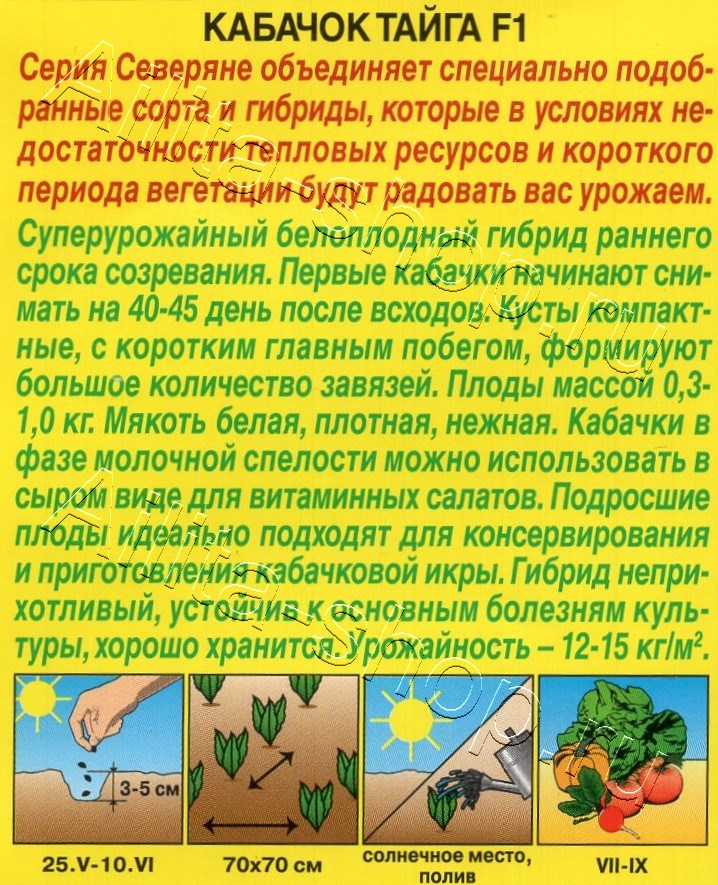 Кабачок белоплодный Тайга F1 1г