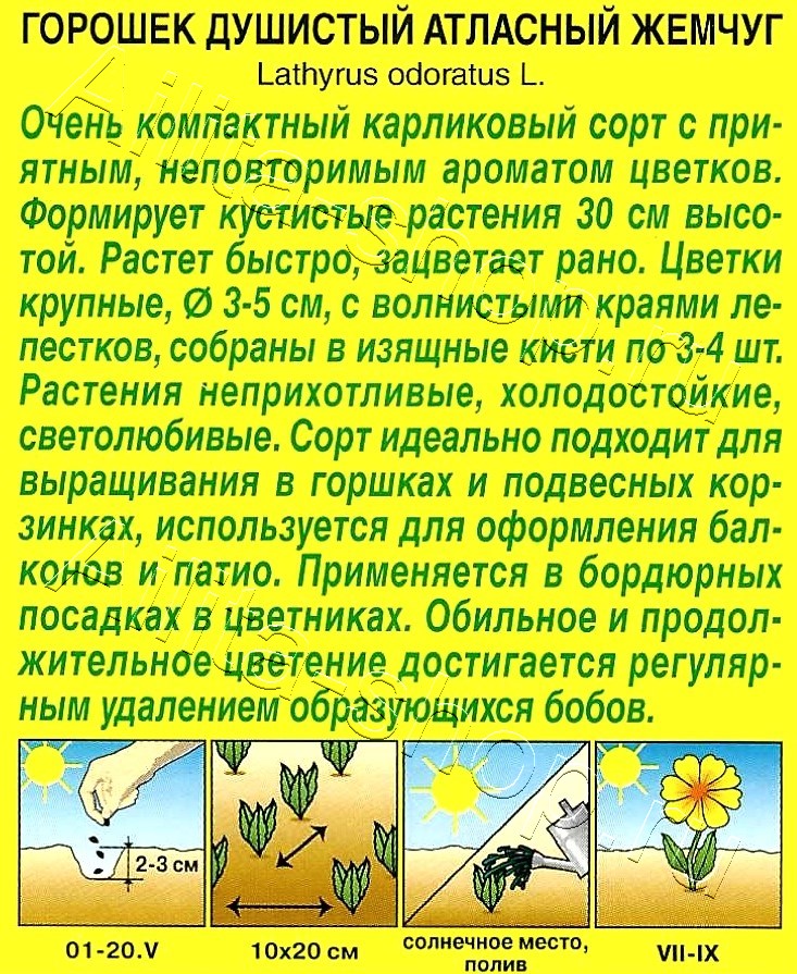 Душистый горошек Атласный жемчуг 0,5г