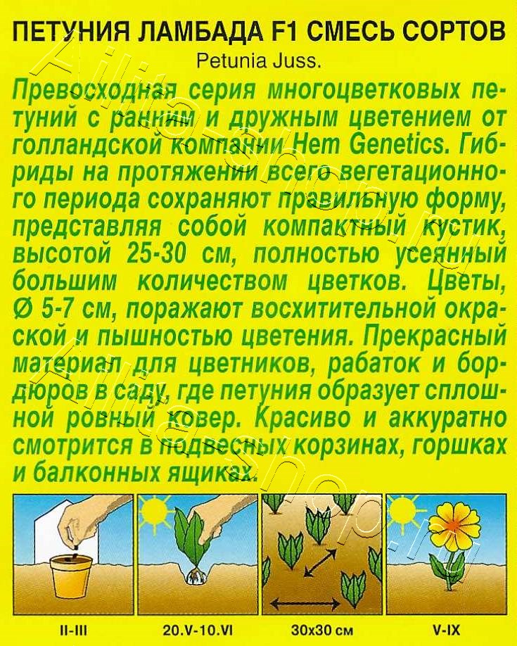 Петуния Ламбада F1 многоцветковая, смесь окрасок 7шт