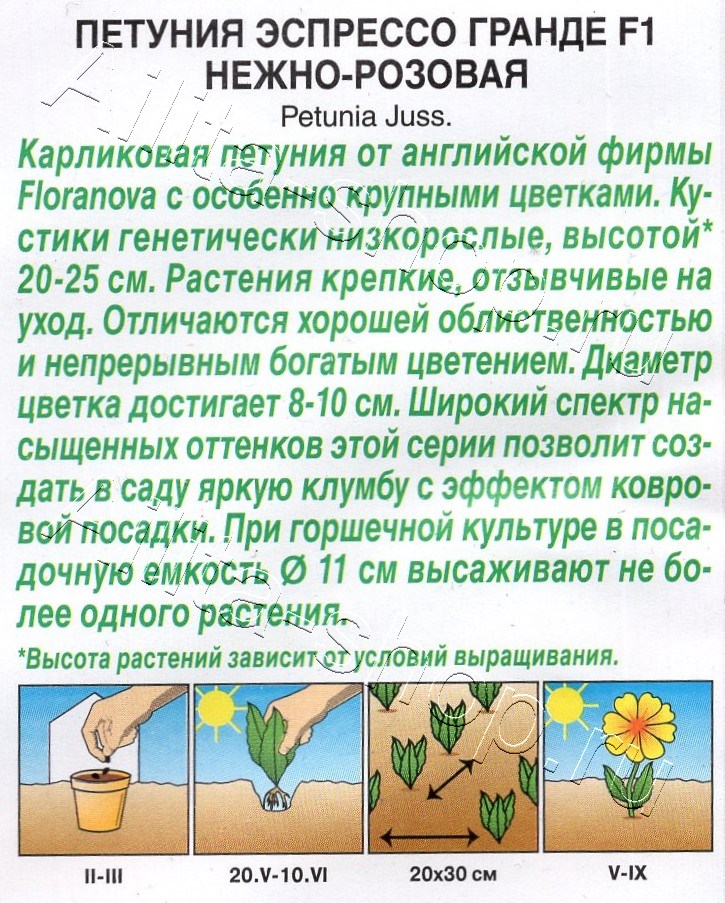 Петуния Эспрессо Гранде F1 крупноцветковая нежно-розовая 7шт