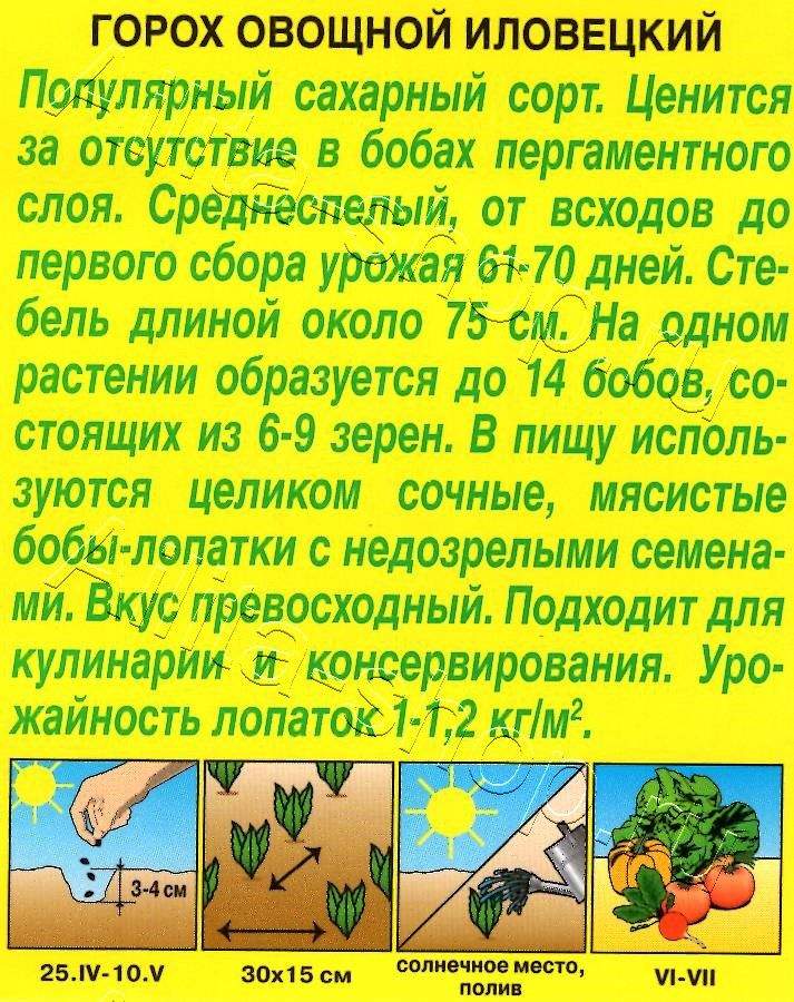 Горох овощной Иловецкий 10г