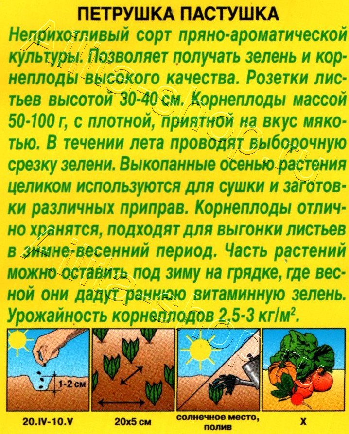 Петрушка корневая Пастушка 2г