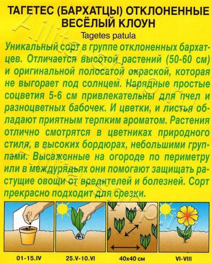 Бархатцы Веcелый клоун отклоненные 0,1г