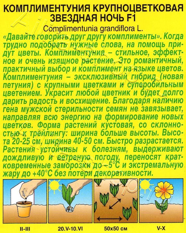 Комплиментуния звездная ночь F1 крупноцветковая 10шт