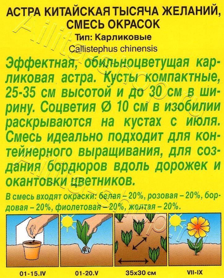 Астра Тысяча желаний, смесь окрасок 0,2г