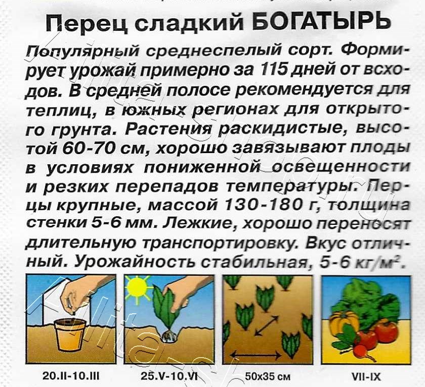 Перец сладкий Богатырь 20шт