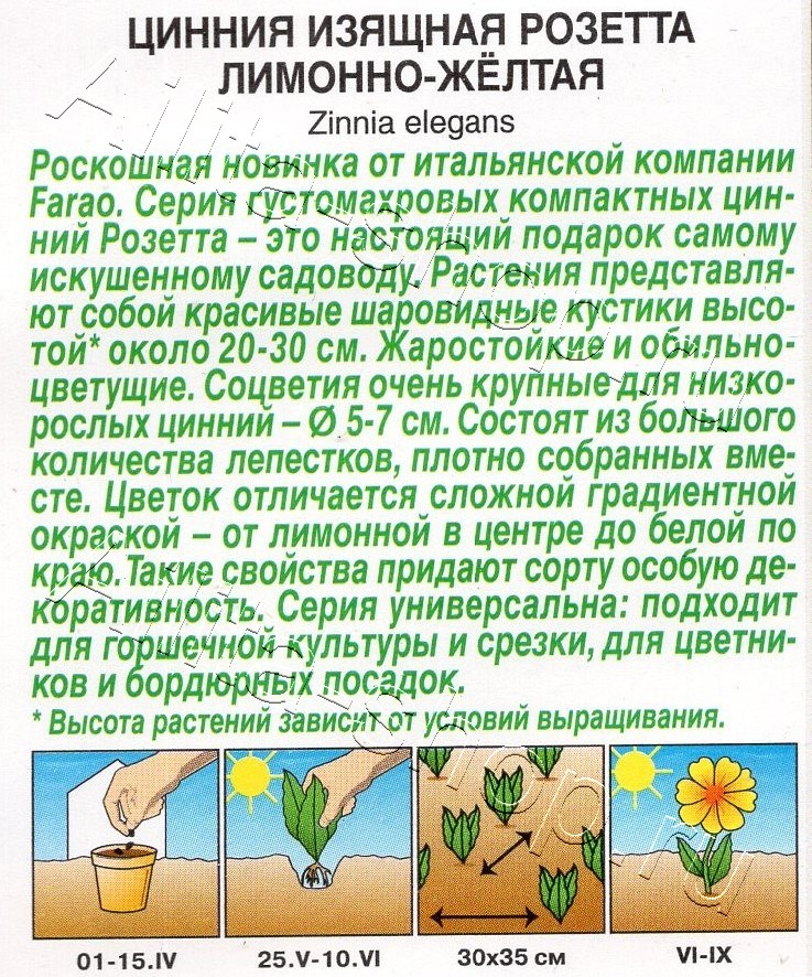 Цинния Розетта лимонно-желтая 10шт