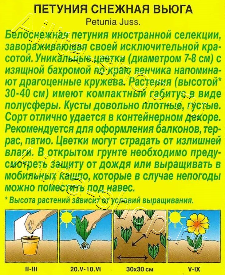 Петуния Снежная вьюга крупноцветковая бахромчатая 7шт