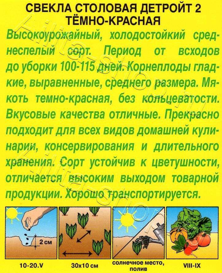 Свекла столовая Детройт 2 темно-красная 3г