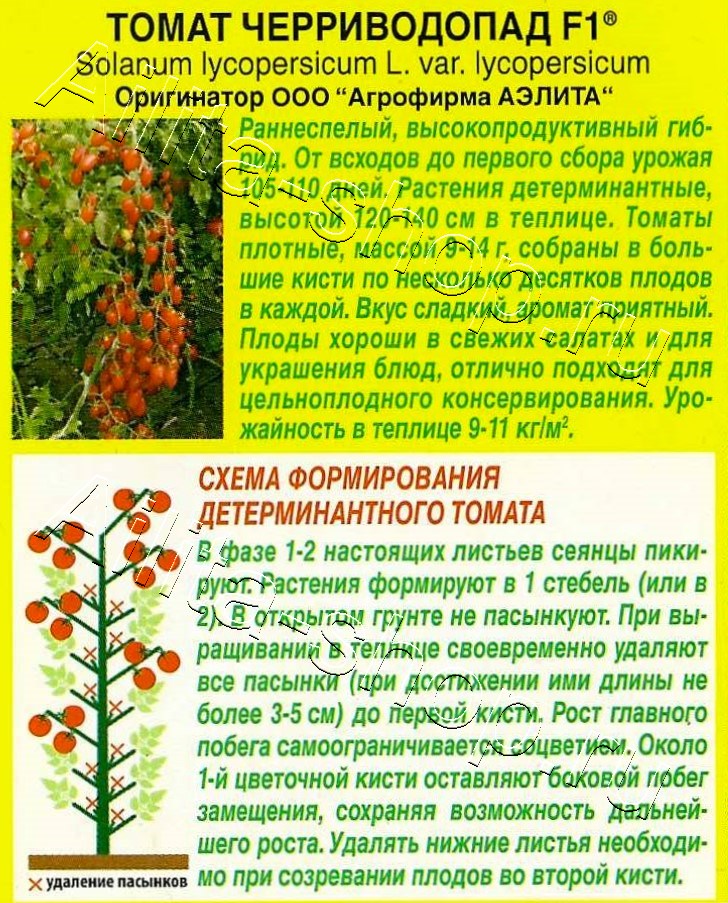 Томат Черриводопад F1 10шт