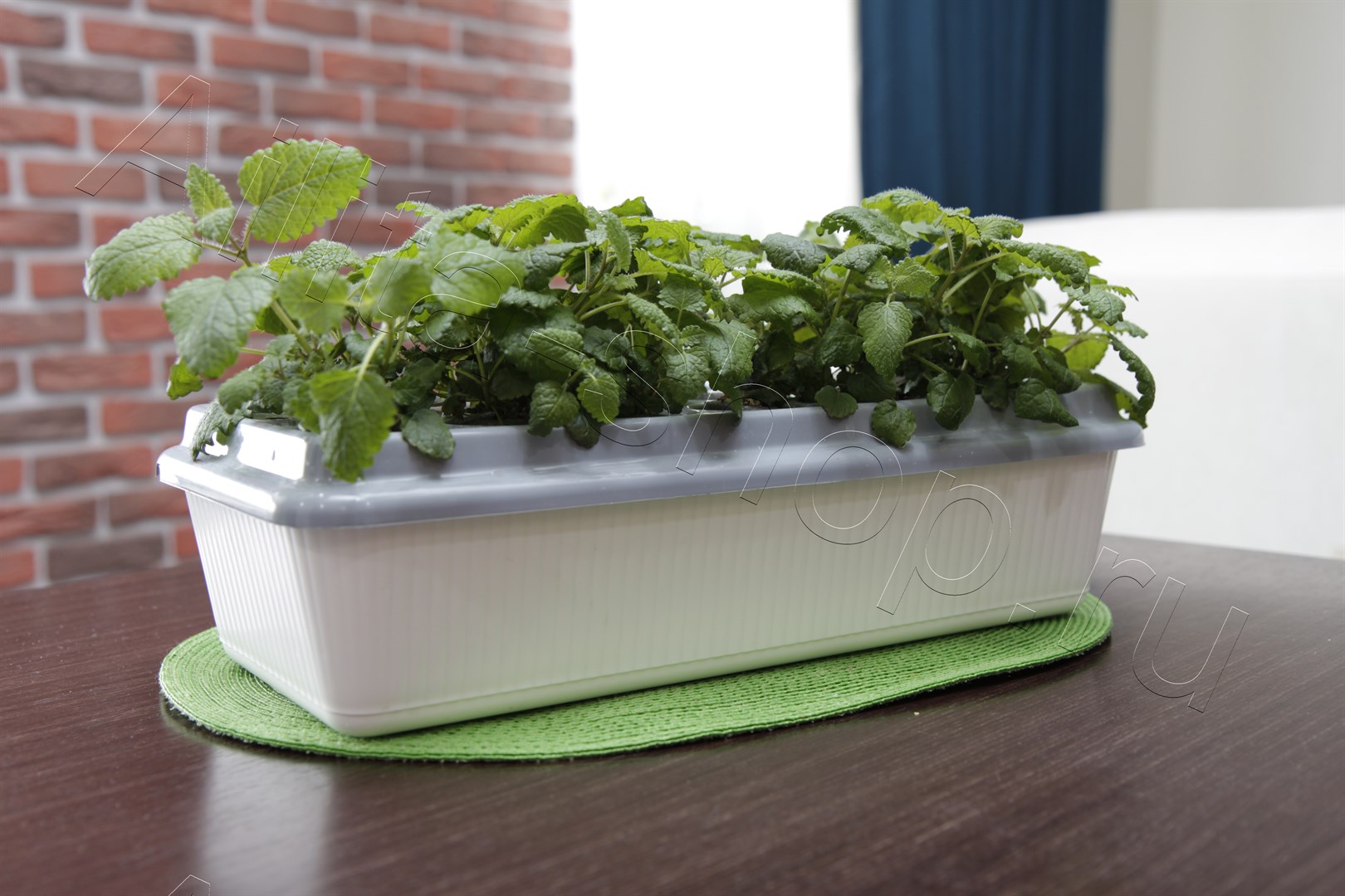 Домашняя чудо-грядка "Здоровья КЛАД" 1шт