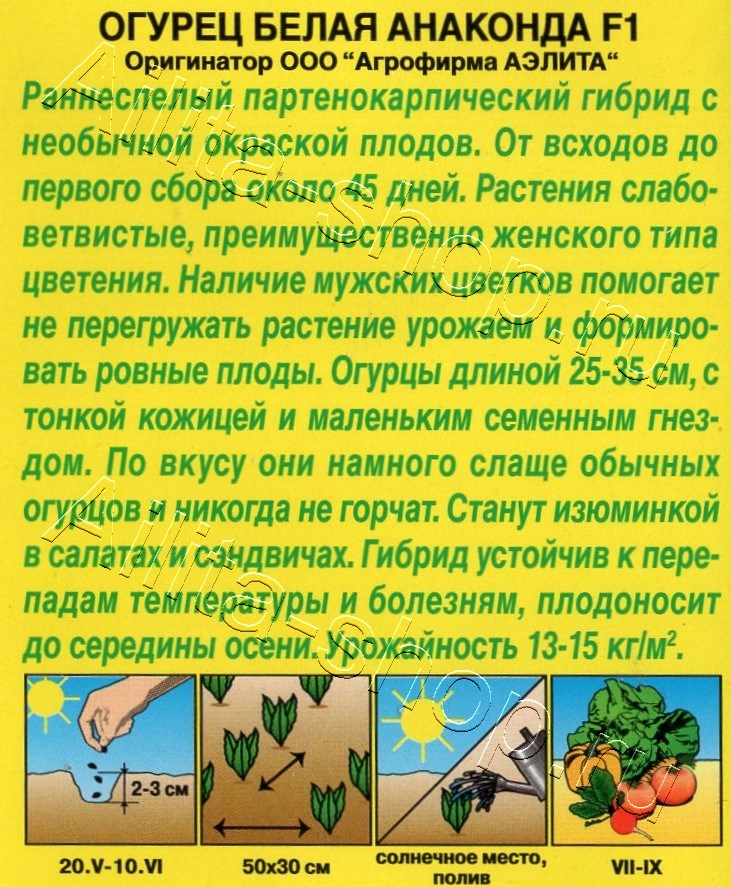 Огурец Белая анаконда F1 10шт