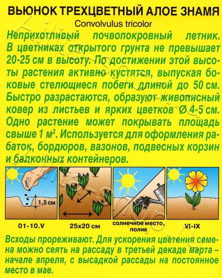 Вьюнок Алое знамя 1г