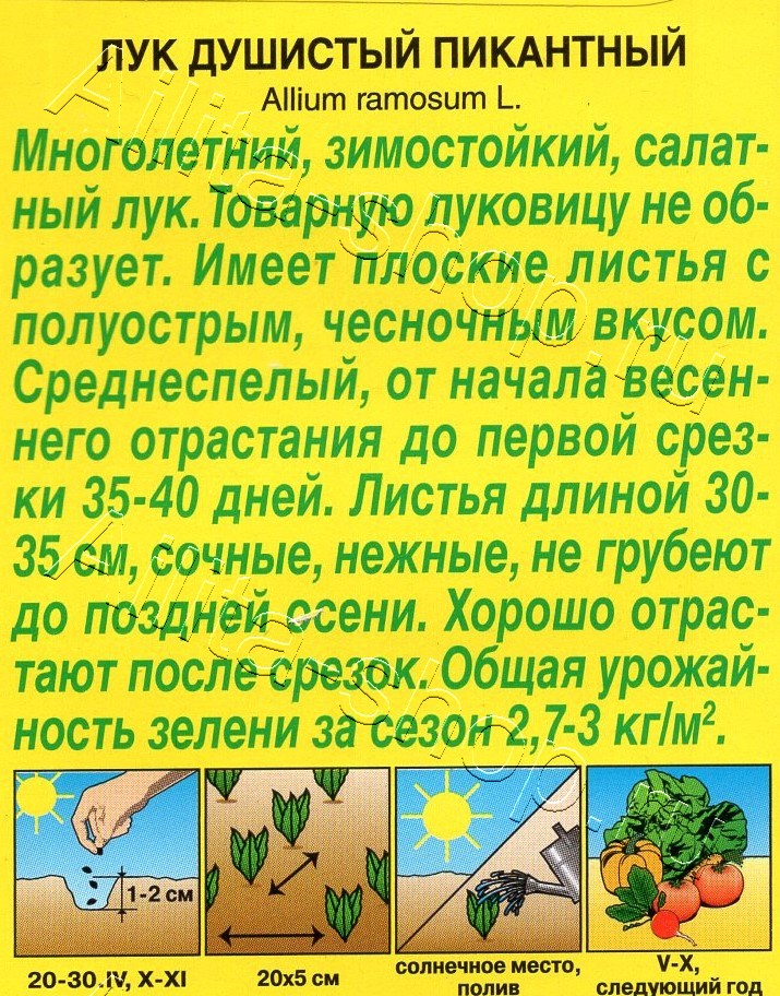 Лук душистый Пикантный 0,5г