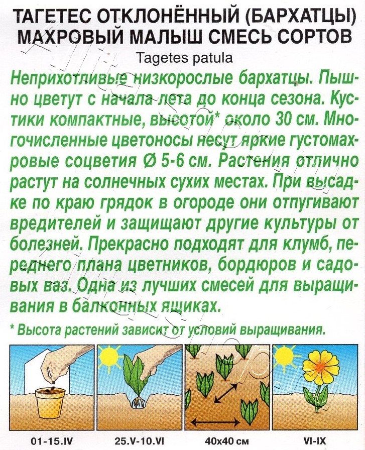 Бархатцы Махровый малыш отклоненные, смесь сортов 0,1г